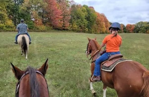 Sunny Farms North — hiking near Dahlonega Georgia