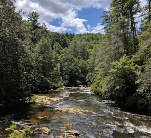 Woody Gap — hiking near Dahlonega Georgia