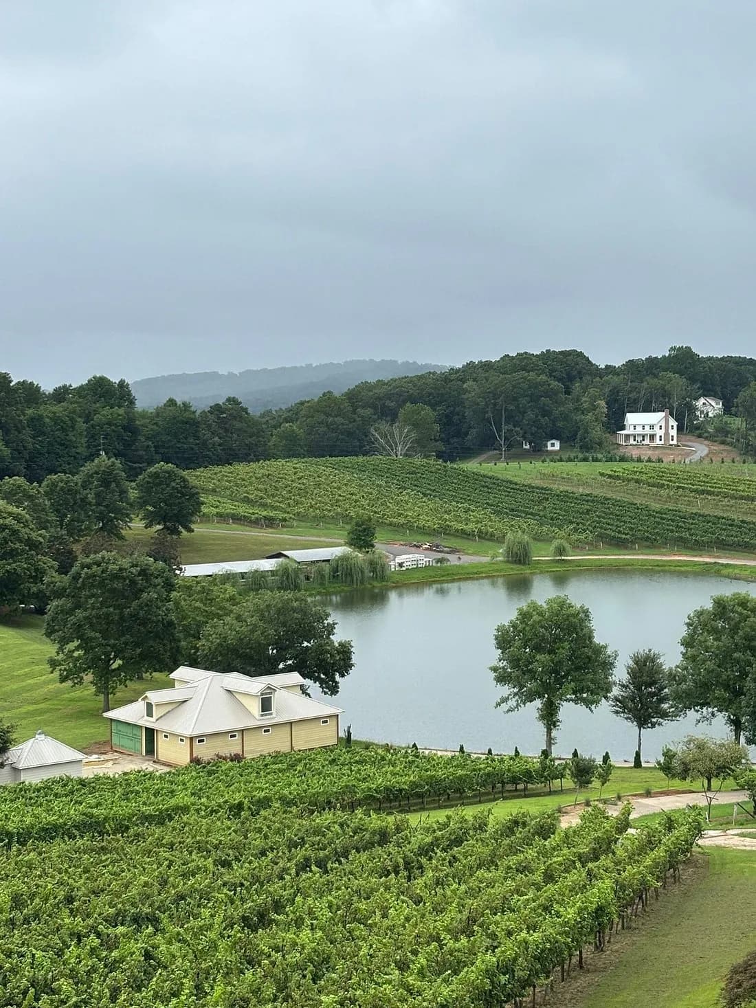 Frogtown Cellars — winery near Dahlonega Georgia