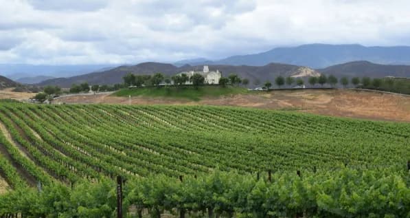 Tesnatee River Winery & Meadery — winery near Dahlonega Georgia