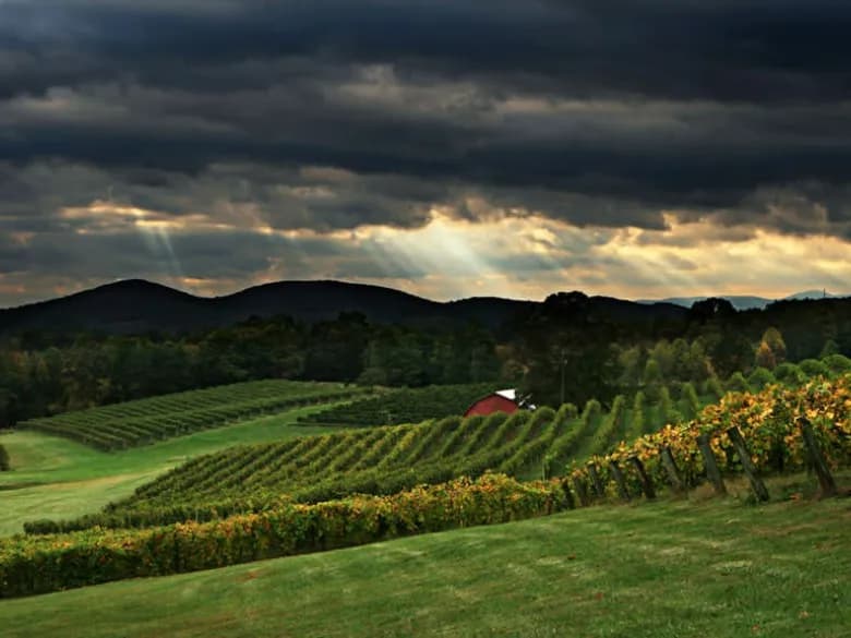 Three Sisters Vineyards — winery near Dahlonega Georgia