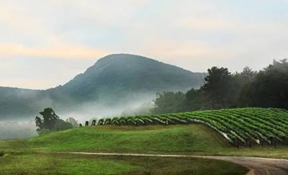 Yonah Mountain Vineyards — winery near Dahlonega Georgia